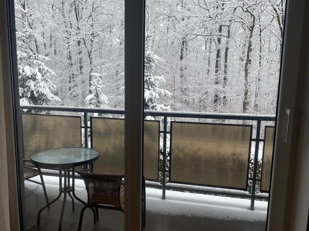 Apartament Natalia Żywiec 외부 사진